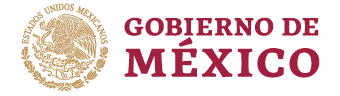 Gobierno de M&eacute;xico